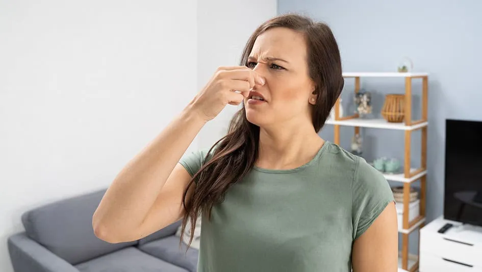Common Air Conditioner Smells and How to Repair the Problem