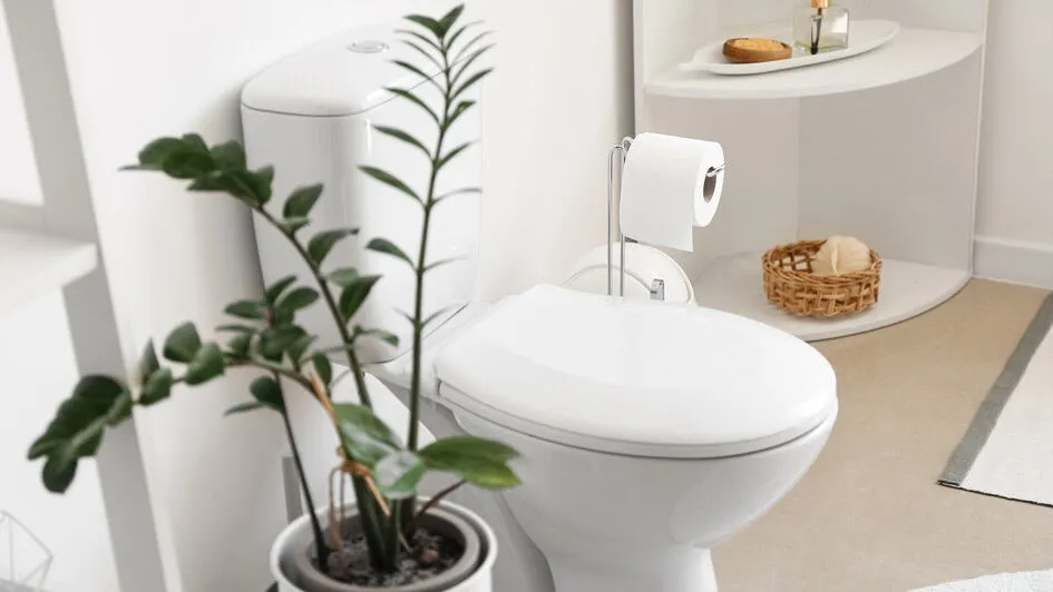 Why a Toilet Won’t Stop Running and Other Issues