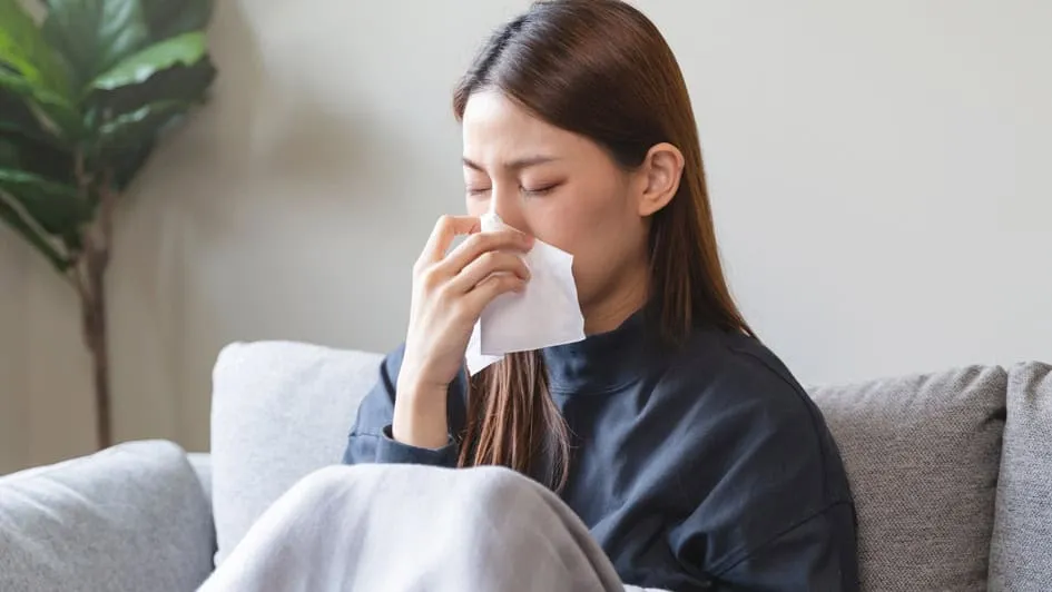 Enjoy Better Indoor Air Quality this Winter